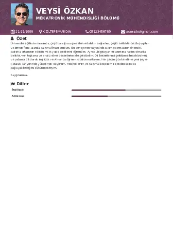 Mekatronik Mühendisliği Cv Örnekleri cv indir